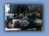 1986_schorfheide_3.jpg