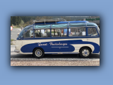 2019_bus(97).jpg